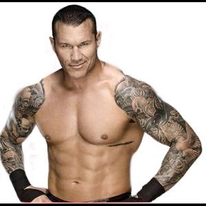 All my Wwe t shirts for 25.00